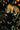 Exotic Tropical Jungle Mural - Tigers, Monkeys & Butterflies