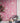 Artemis Chinoiserie | Fuchsia