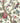 Artemis Chinoiserie | Vivid