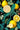Citrus Garden Wallpaper