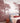 French Landscape Panorama | Carter Plum