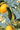 Lemon Tree Wallpaper