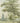 Meadow Grove | French Green