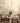 Mountain Grove | Albaster
