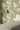 Mythical Creatures Botanicals Wallpaper | Sage Green