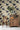 Mythical Cats Botanicals Wallpaper | Black