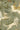 Mythical Creatures Botanicals Wallpaper | Sage Green