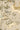 Mythical Creatures Botanicals Wallpaper | Gentle Cream