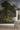 Vintage Woodland Landscape Mural | Wild Green