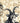 Garden Antlers Wallpaper