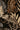 Vintage Chameleon Botanical Wallpaper