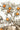 Rustic Orange Trees Mural