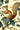 Vintage Squirrels Wallpaper