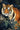Forest Tigers Wallpaper