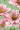 Blooming Paradise Wallpaper