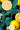 Citrus Garden Wallpaper
