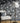 Classic Botanicals Wallpaper