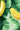 Banana Jungle Wallpaper 